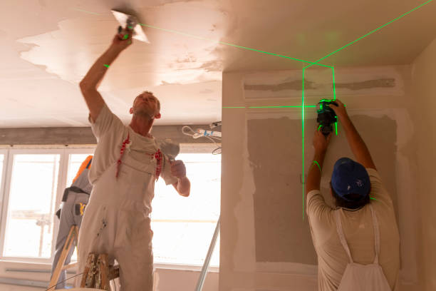 Reliable Serenada, TX Painting & Drywall Installation Solutions